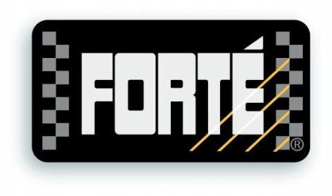 FORTE DIFF & GEAR TREATMENT 123ML DO PRZEKŁADNI DYFERENCJAŁ SKRZYNIA BIEGÓW