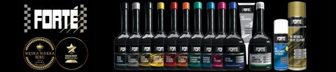 FORTE DIFF & GEAR TREATMENT 123ML DO PRZEKŁADNI DYFERENCJAŁ SKRZYNIA BIEGÓW